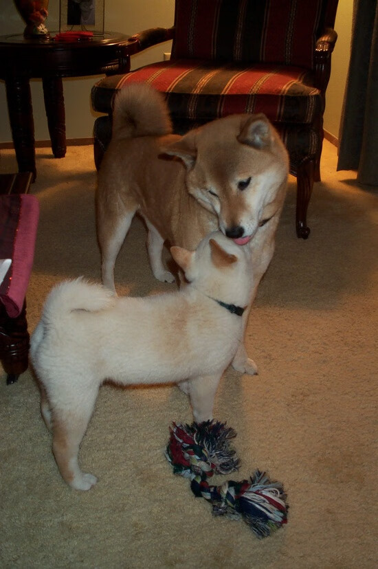 凯塞多一剑封喉!巴拉圭险胜智利,美洲杯焦点战深度解析