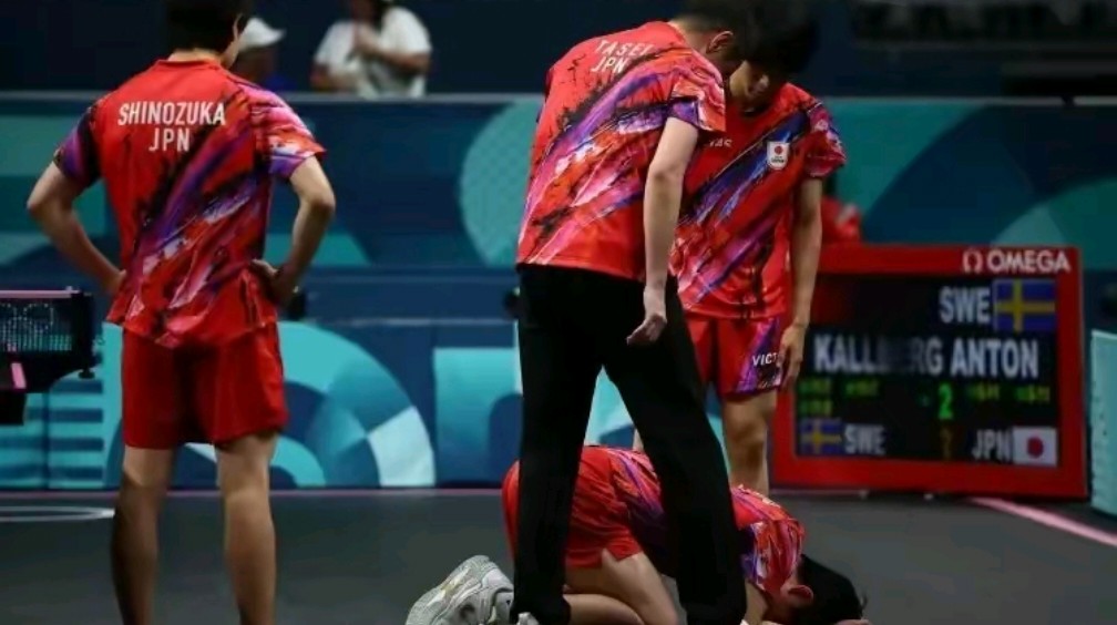 关于瑞典队绝杀韩国队，张本智和扛起全队的信息